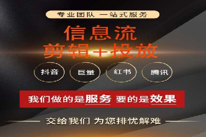 搜索引擎优化（SEO）与竞价广告（SEM）的对比案例